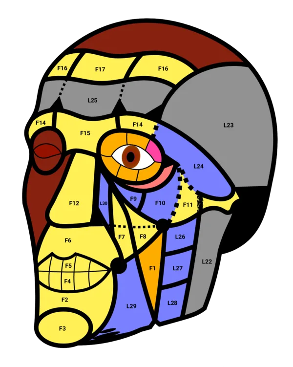 Layer 4 — Deep Fat and Spaces